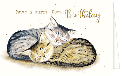 Geburtstagskarte Katzen